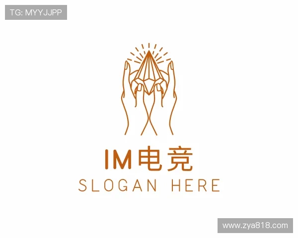 介绍IM电竞